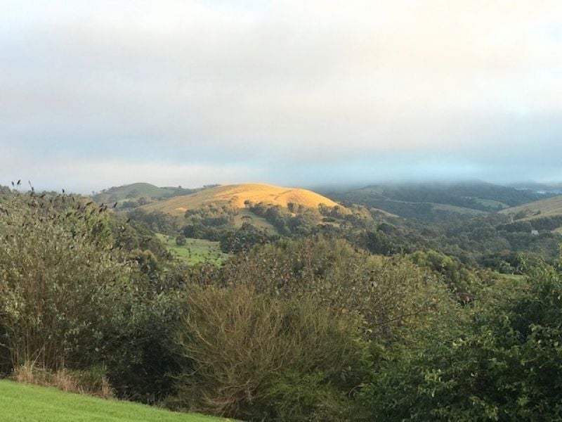 313 Barham River Road, Apollo Bay, VIC, Apollo Bay - Thumbnail 6