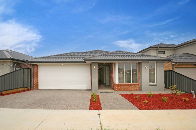 31 Terry Street, Doreen