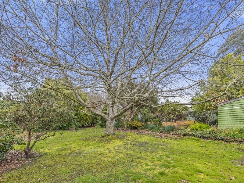 8 Blundy Street, Forrest, VIC, Forrest - Thumbnail 8