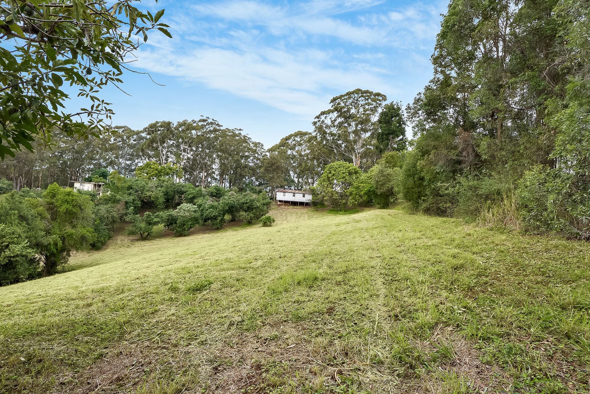 402 Upper Landershute Road Palmwoods QLD, Palmwoods - Thumbnail 4
