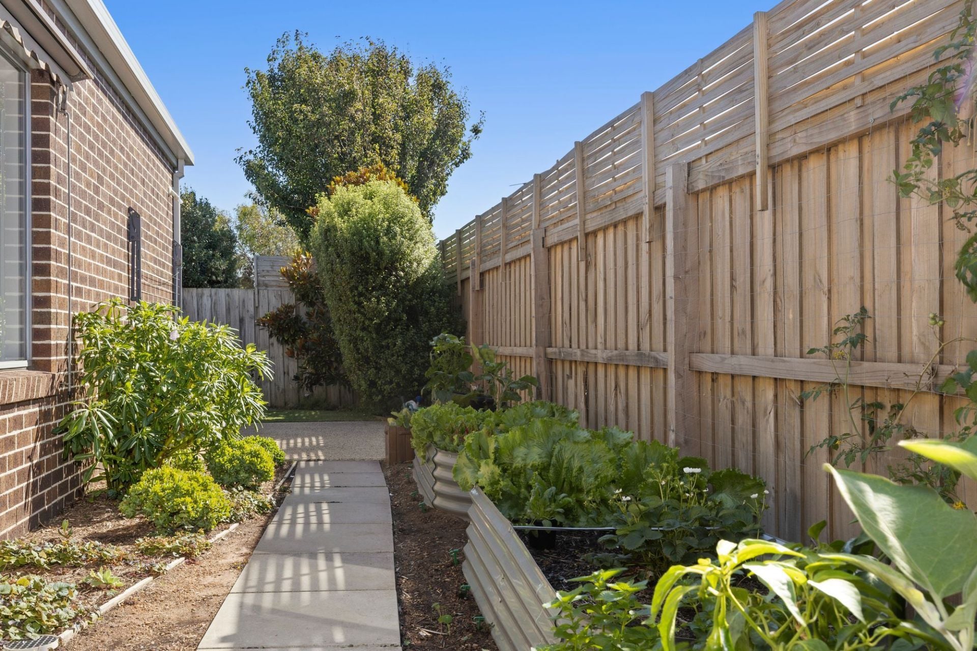2/14 Mowbray Drive Ocean Grove Vic, Ocean Grove - Thumbnail 6