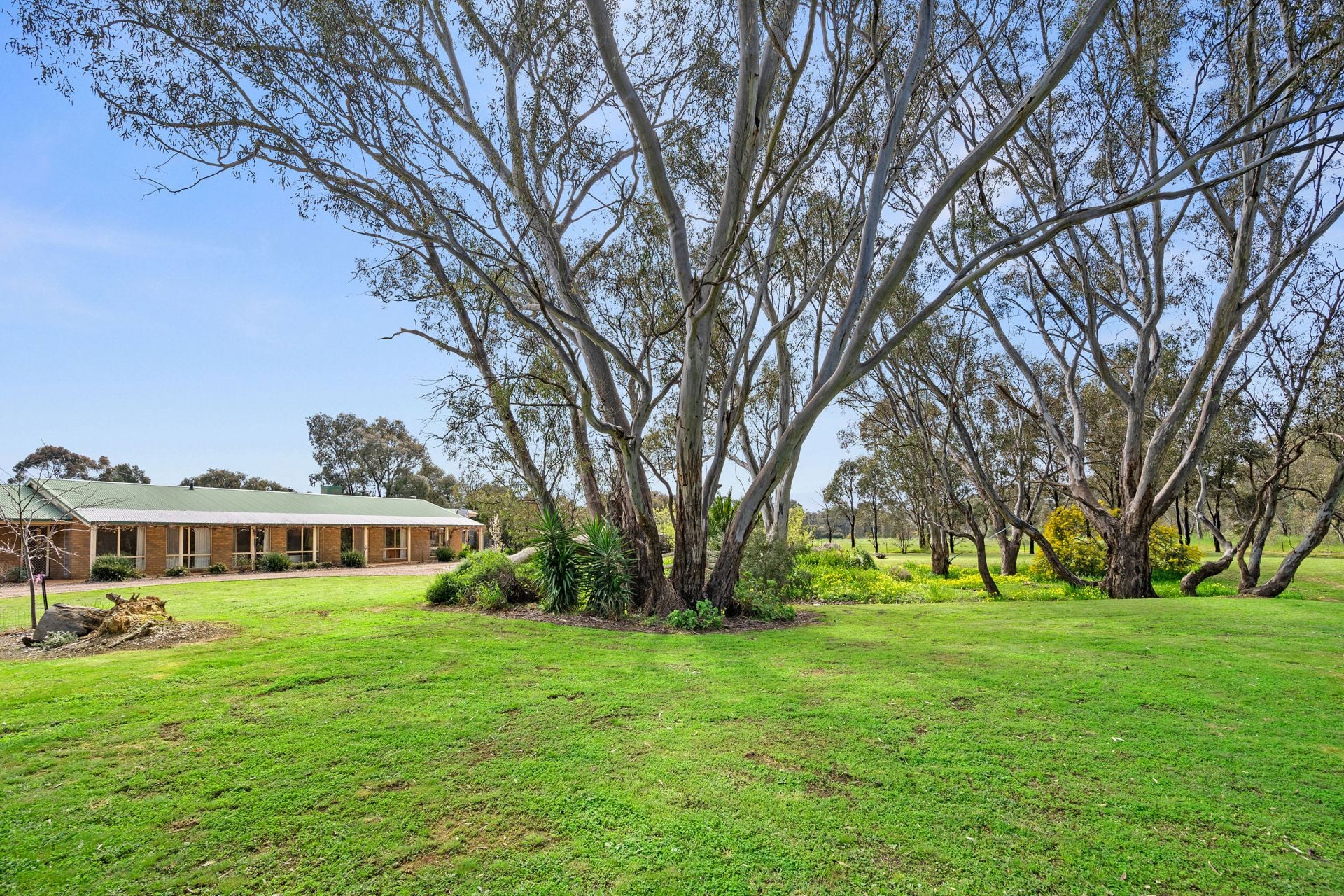 101 Carolyn Way, Maiden Gully Bendigo Ballarat Real Estate Pty Ltd