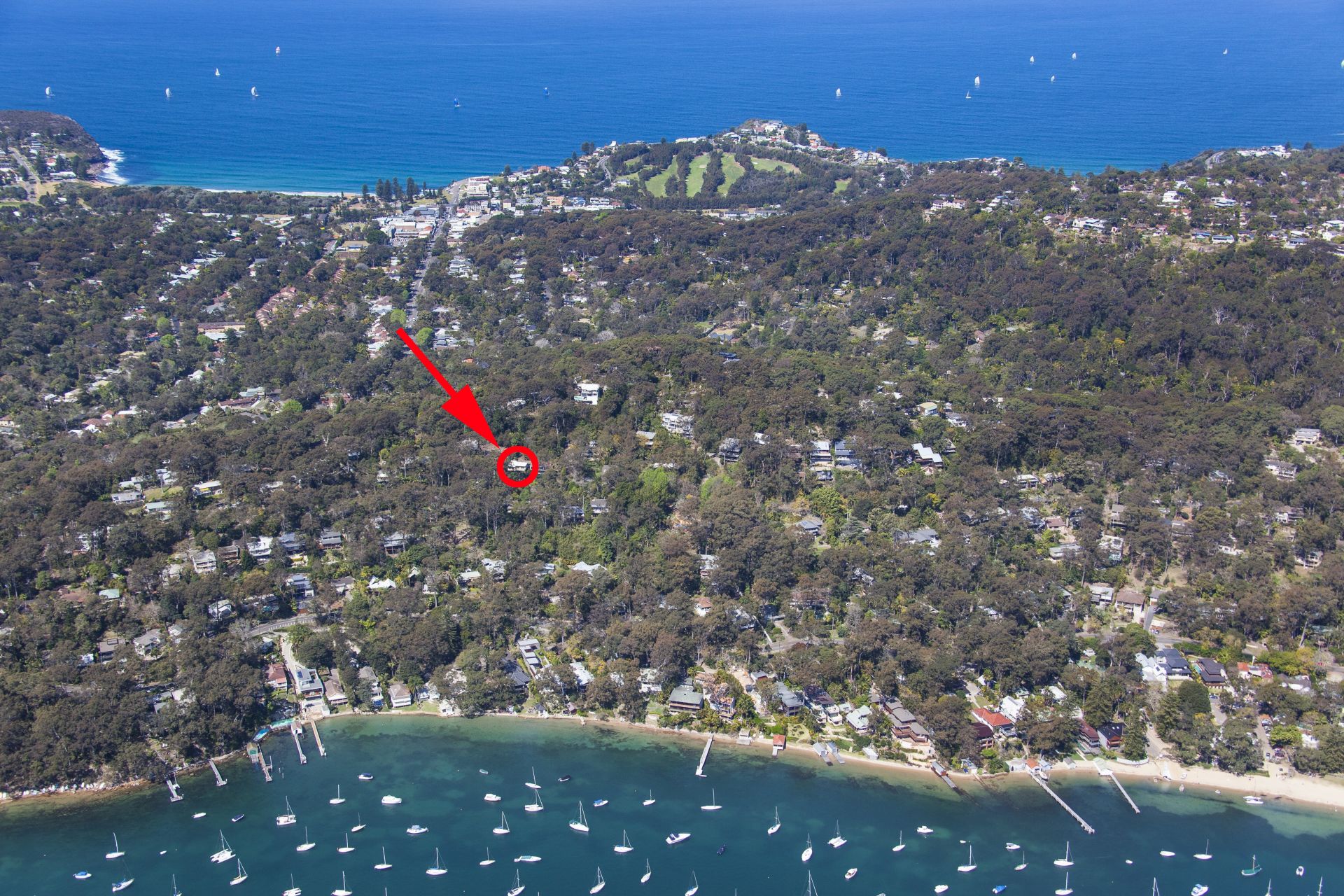 37 Hilltop Road Avalon Beach NSW, Avalon Beach - Thumbnail 5