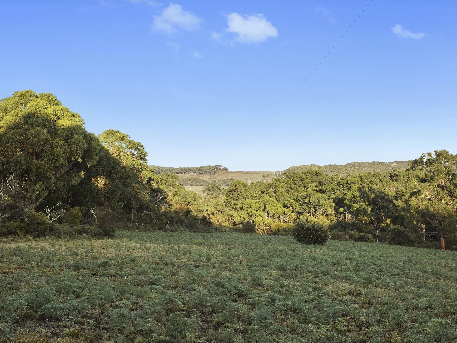 6/615 Hordern Vale Road, Hordern Vale - Thumbnail 2