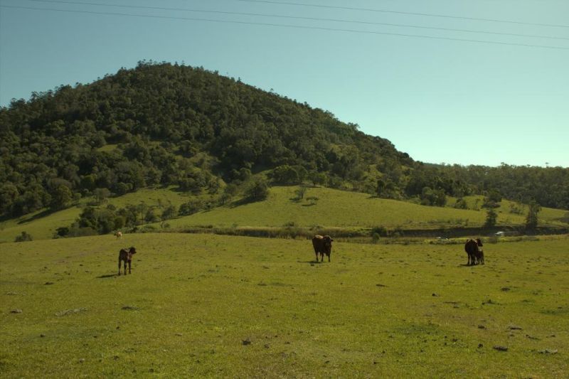 181 Willetts Road, BAUPLE, QLD, 4650 Rural buyMyplace