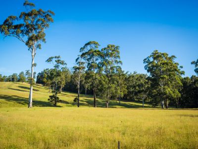 5/13 Millingandi Road, Millingandi