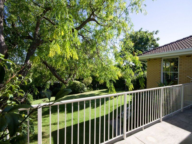 61 Dashwood Beaumont 5066