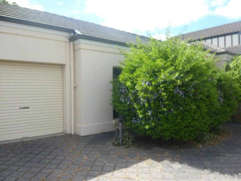 2/4 Treloar Avenue Kensington Park 5068