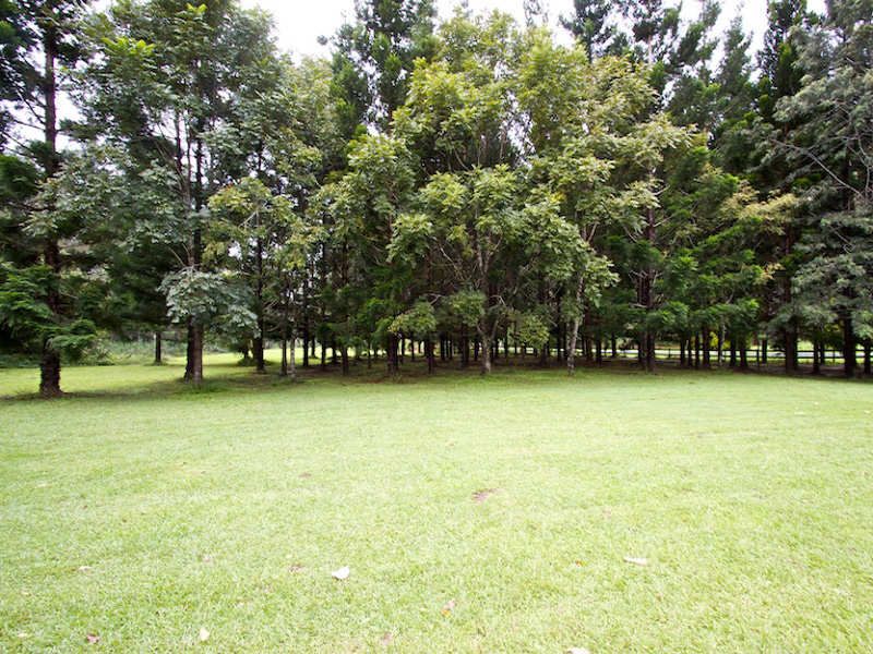 1110 Tallebudgera Creek Road TALLEBUDGERA VALLEY QLD, Tallebudgera Valley - Thumbnail 8