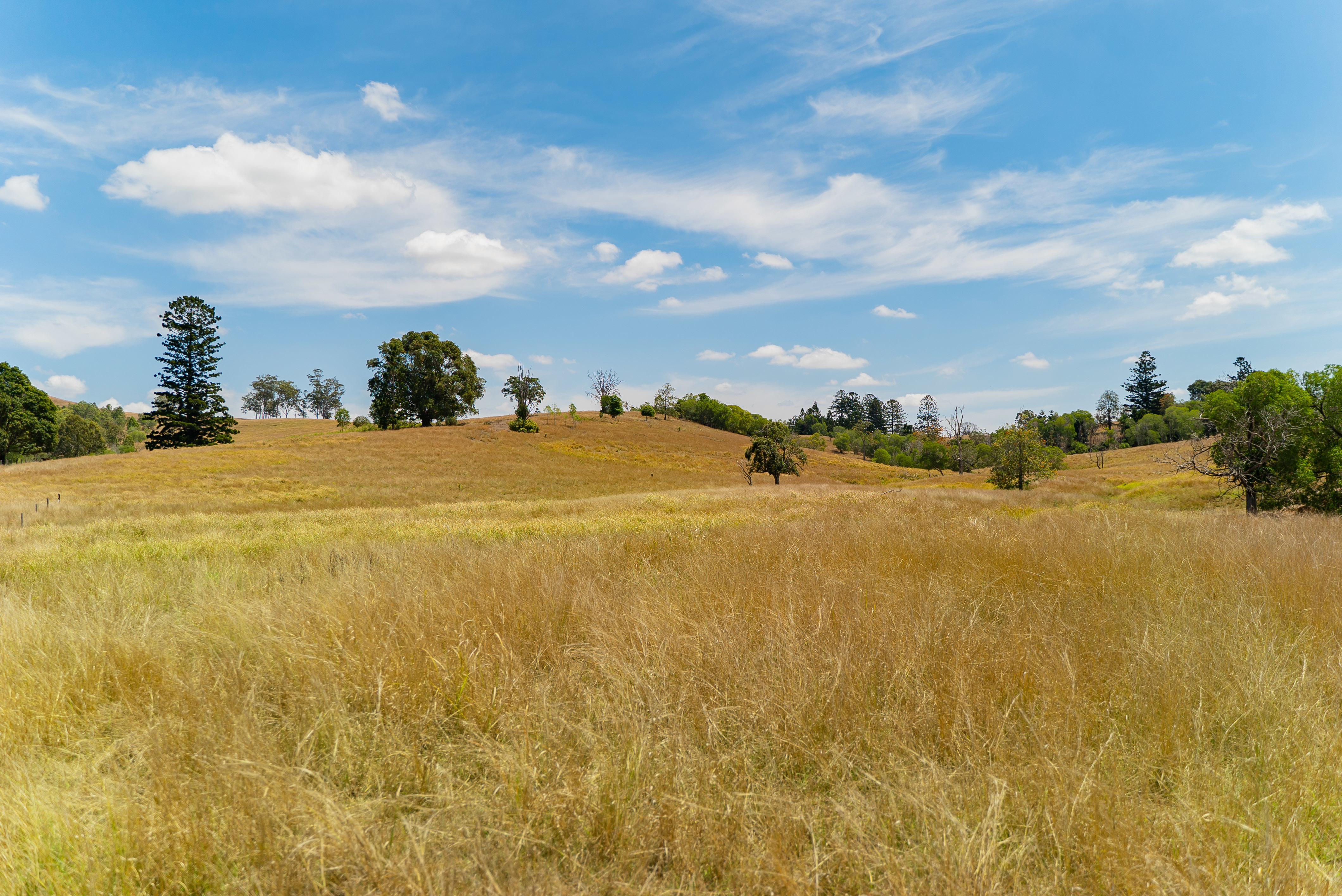 Real Estate For Sale 236 Birnam Range Road Beaudesert , QLD