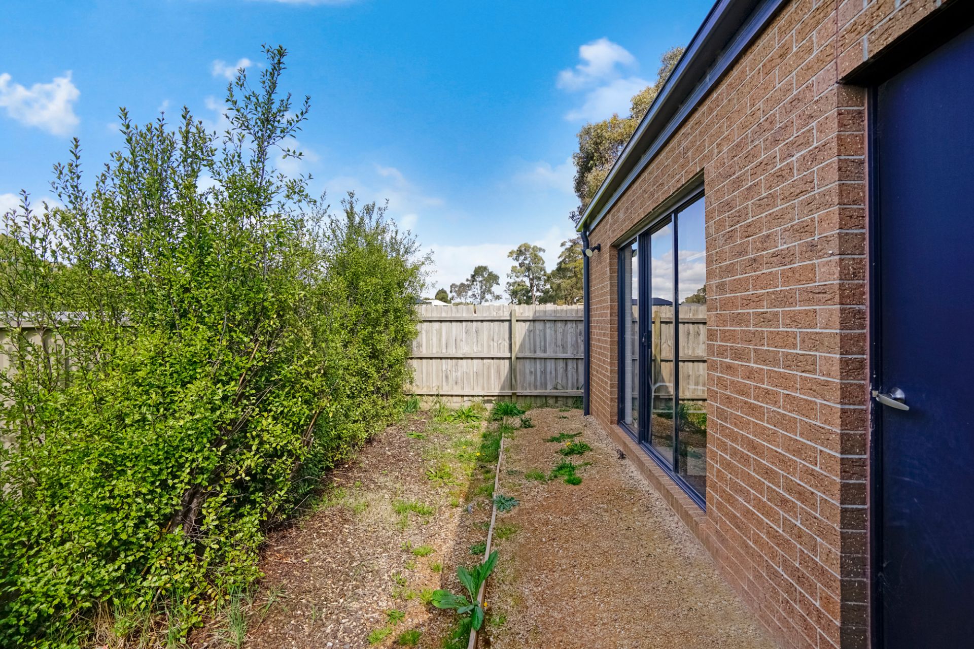 7 Jabiru Close, Mount Clear, Mount Clear - Thumbnail 2