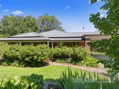 Entertain The Family