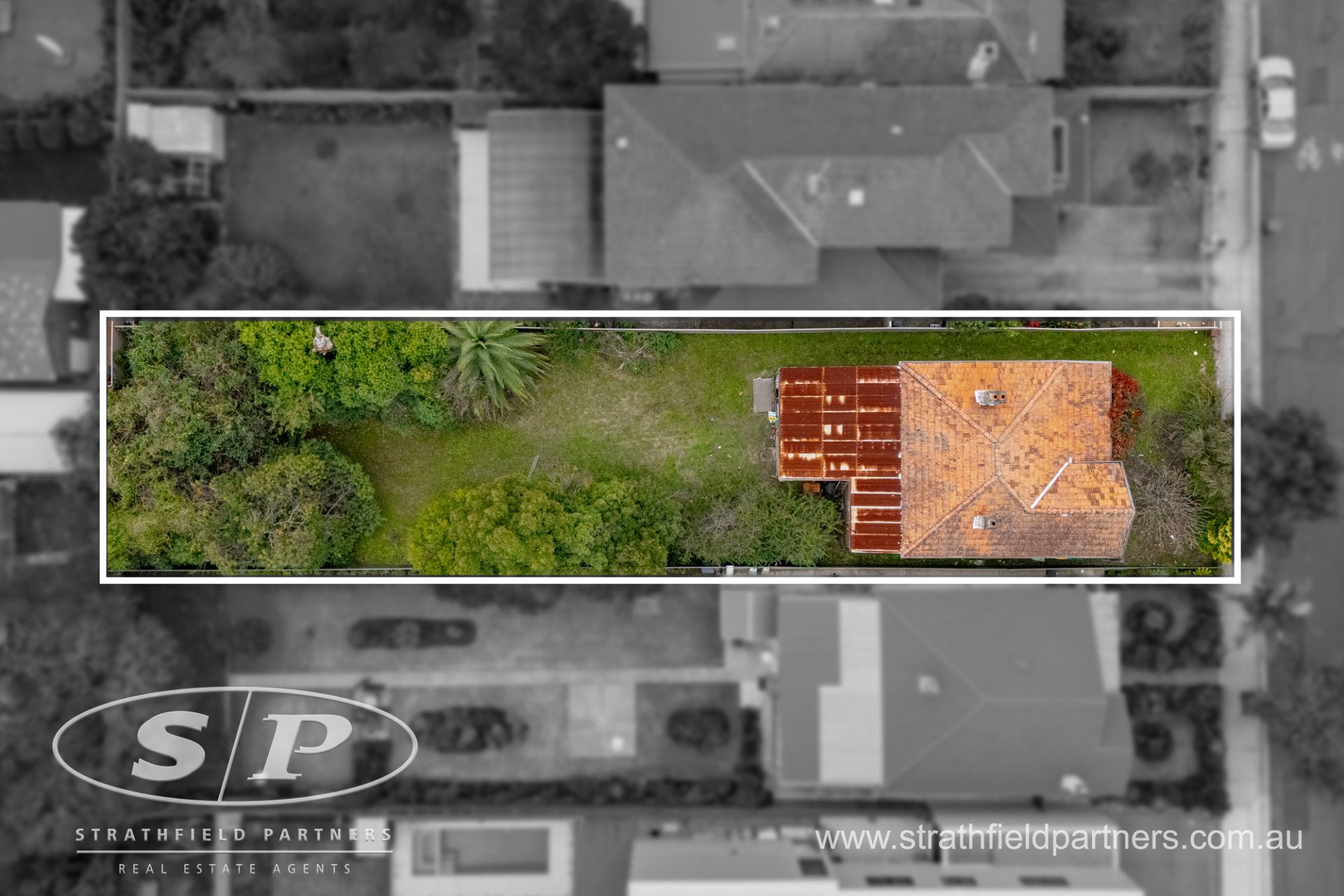 21 Angelo Street, Burwood, Burwood - Thumbnail 4