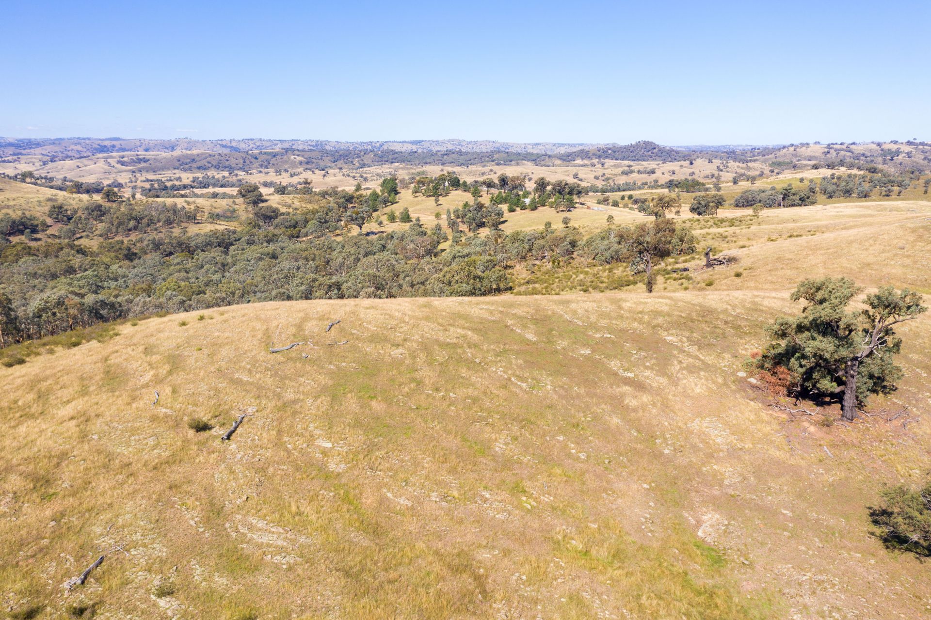 4 Old Wheeo Road, Taylors Flat NSW, Taylors Flat - Thumbnail 6