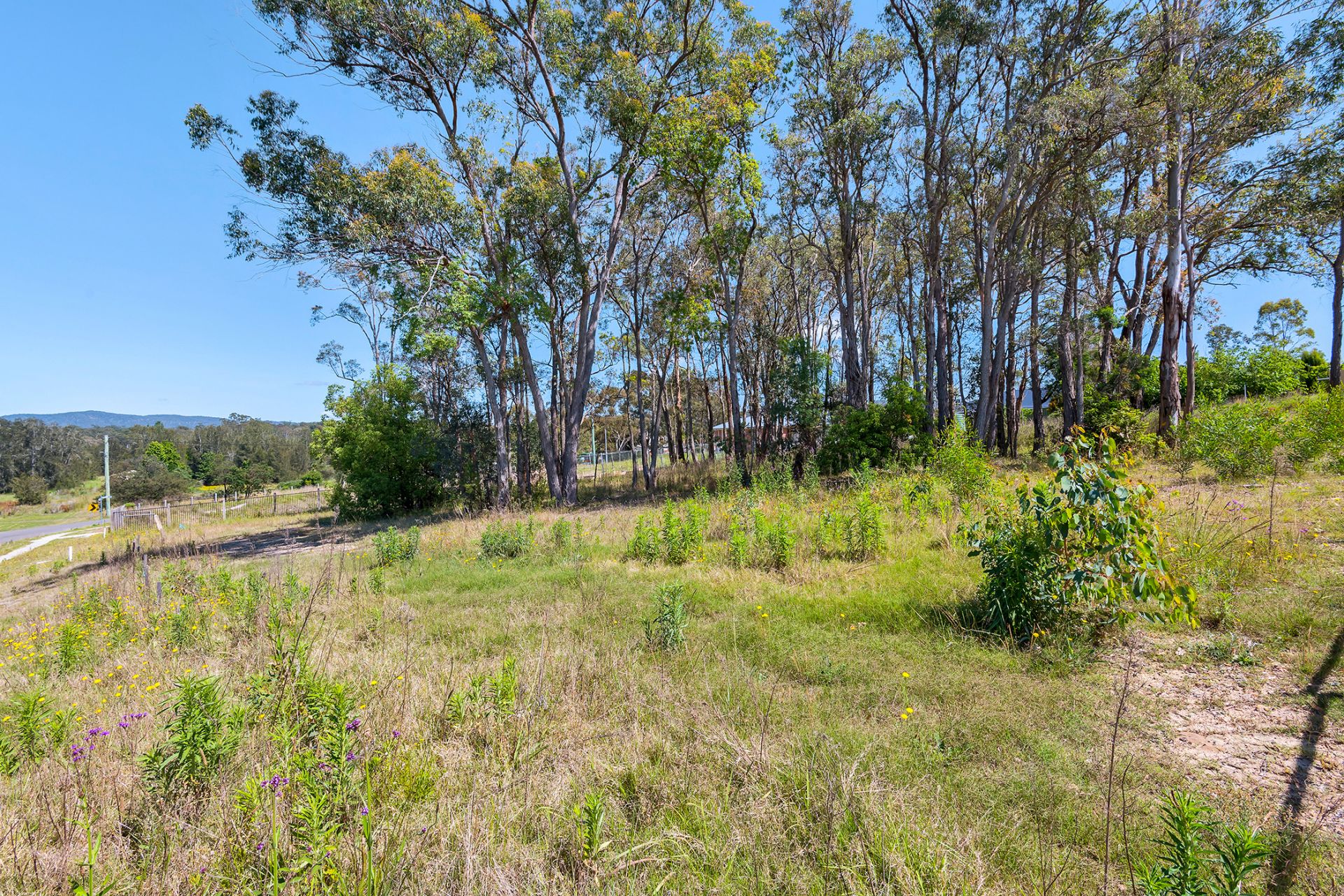 Real Estate For Sale 35 South Street Ellalong , NSW