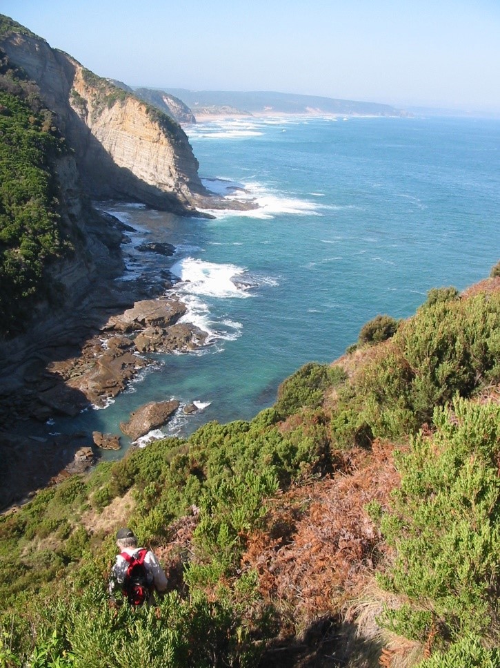 115  Knowledge Track, Yuulong, VIC, Yuulong - Thumbnail 5