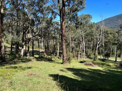 8 Grandeur Drive East Warburton VIC, East Warburton - Thumbnail 5
