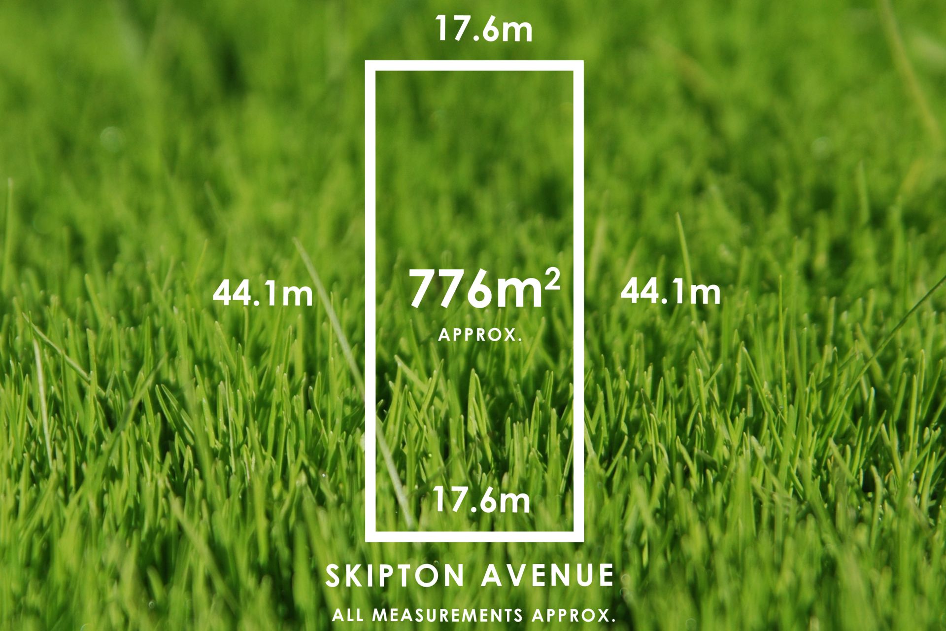 7 Skipton Avenue, Somerton Park - Thumbnail 4