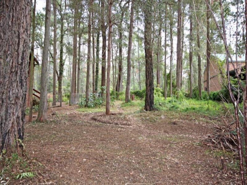 134 Lieutenant Bowen Road, Bowen Mountain - Thumbnail 3