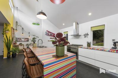 163A Winspears Road, East Devonport, East Devonport - Thumbnail 5