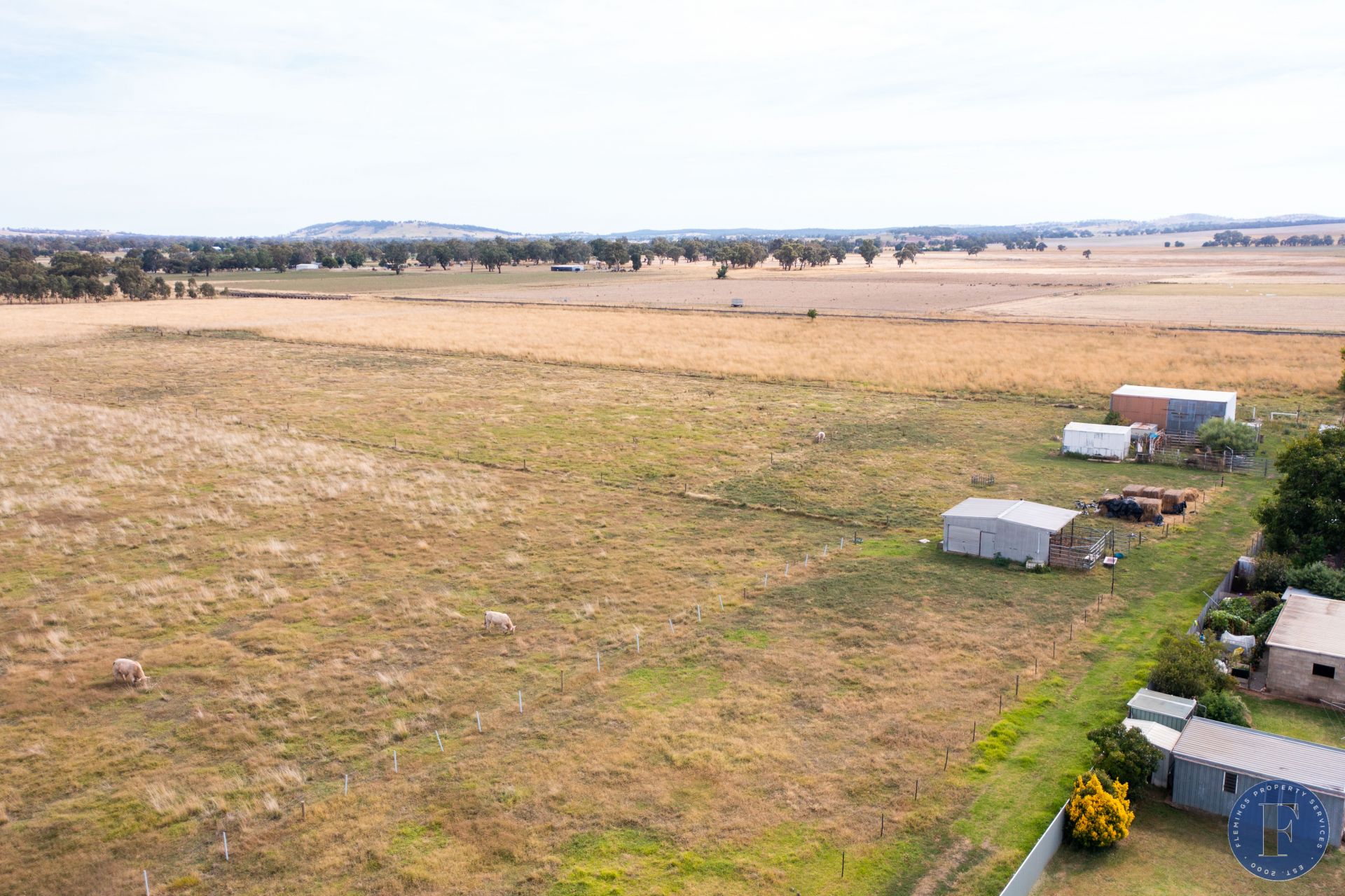 Lot 1 Temora Street, Cootamundra NSW, Cootamundra - Thumbnail 8