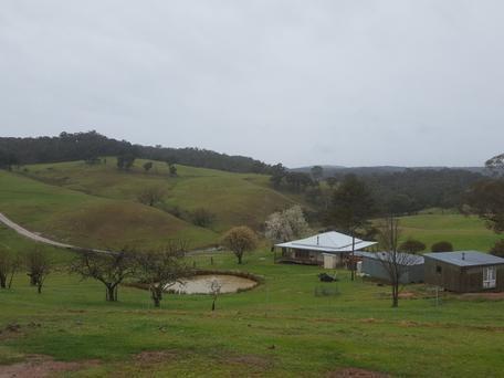 124 Oallen Ford Road , OALLEN, NSW, 2622 - Rural - buyMyplace