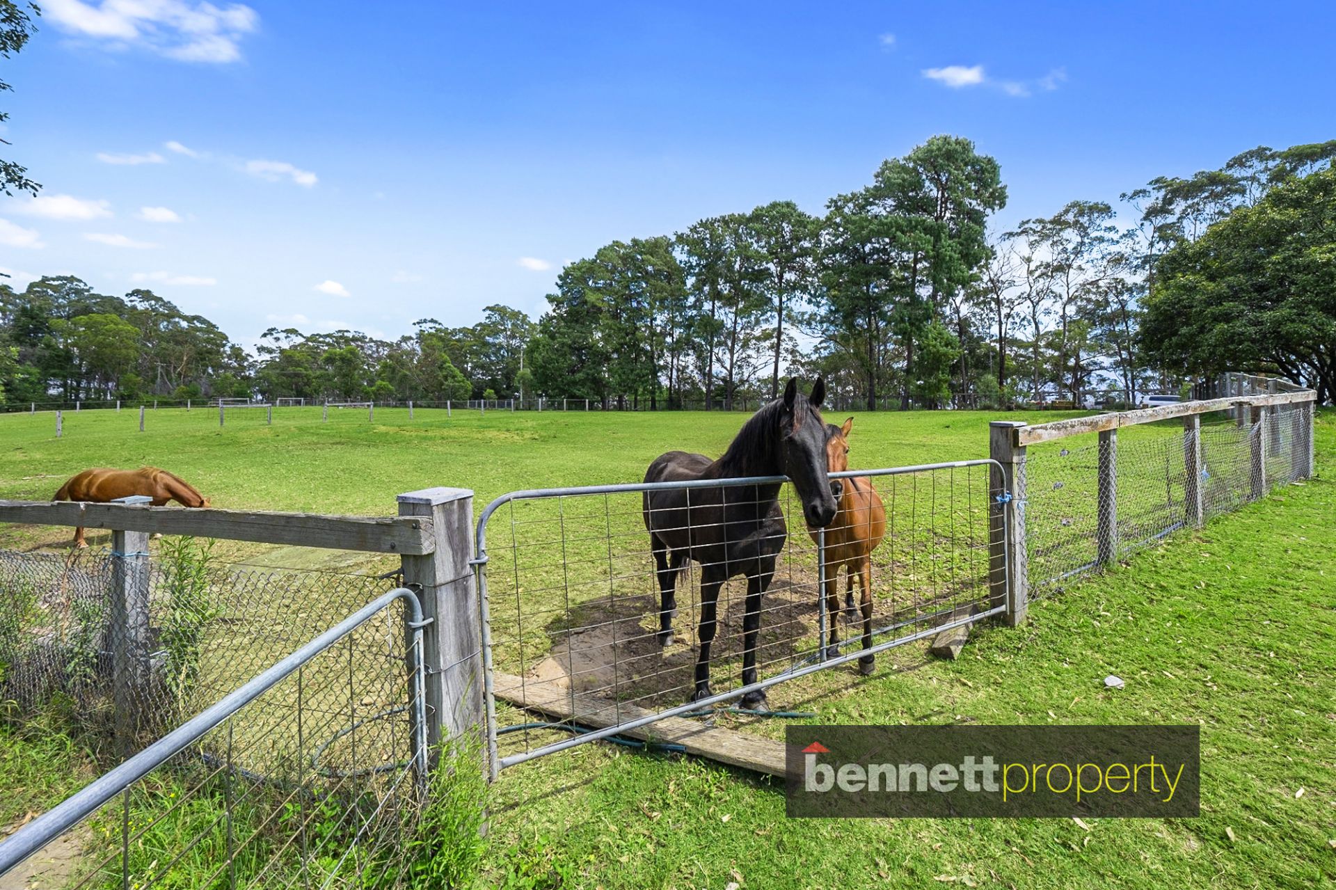 410 Blaxlands Ridge Road, Blaxlands Ridge - Thumbnail 7