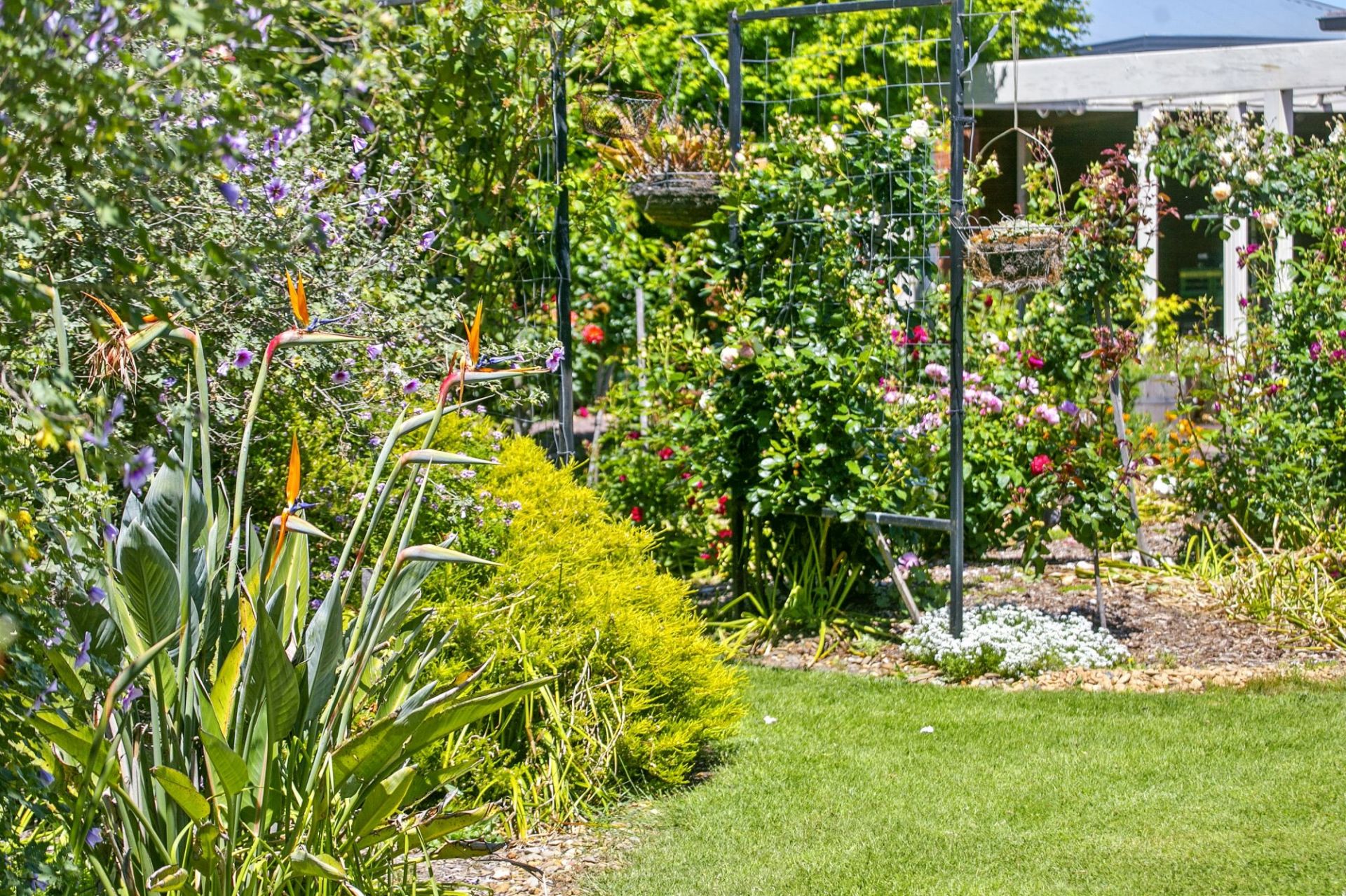 1 Cricklewood Lane Wallington VIC, Wallington - Thumbnail 6