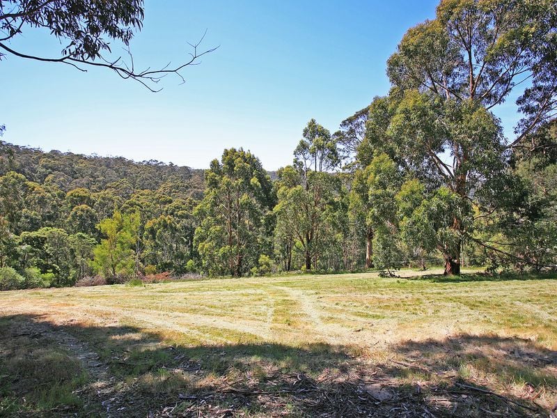15 Cora Lynn Court, Lorne - Thumbnail 6