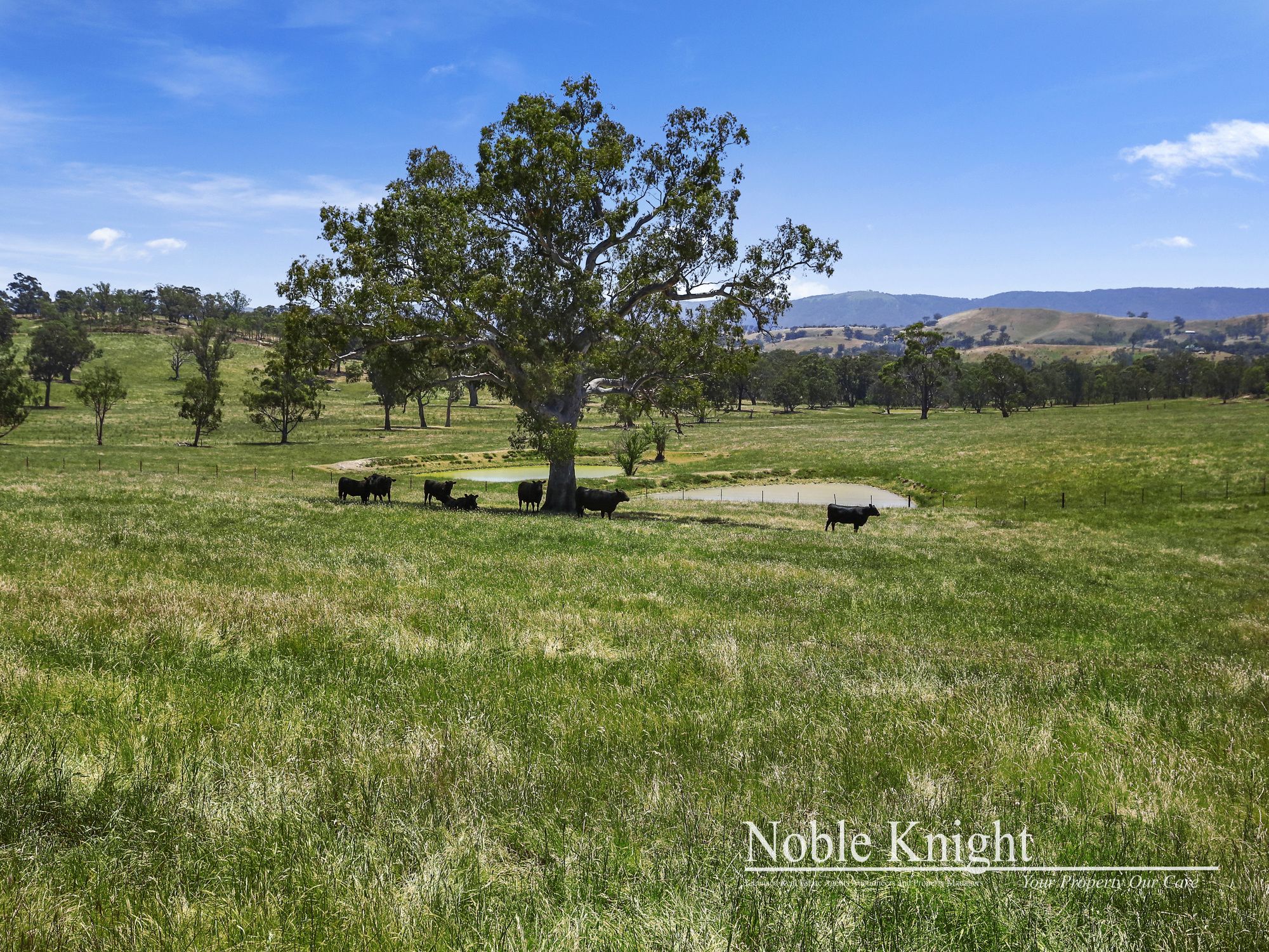 145 Racecourse Road Yea