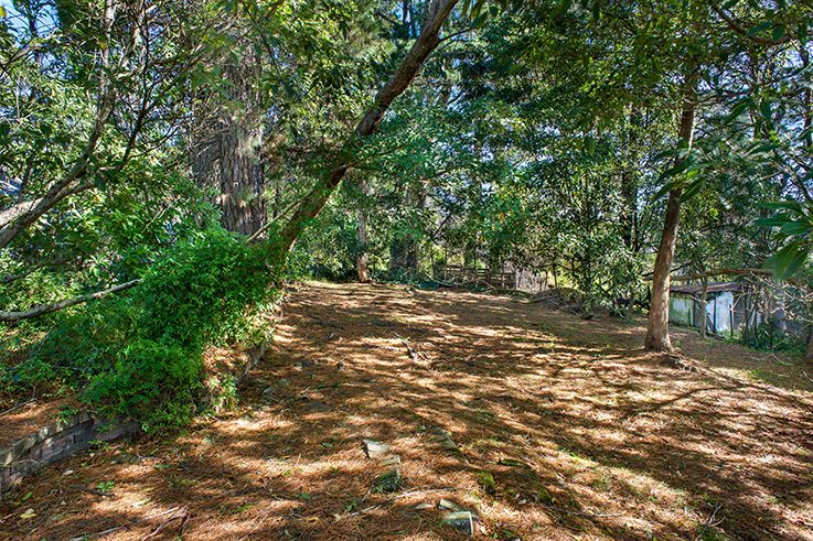 15 Langford Street Wentworth Falls 2782