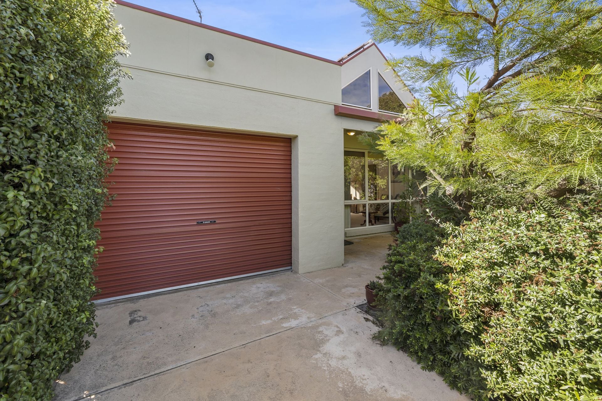 8 Manna Gum Close, Anglesea - Thumbnail 3