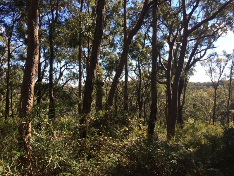 12 Coach House Road, Kurrajong Heights - Thumbnail 6