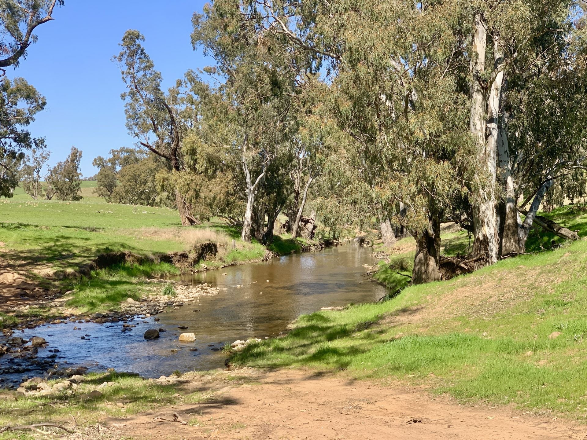 897 Murringo Flats Road, Murringo, Murringo - Thumbnail 4