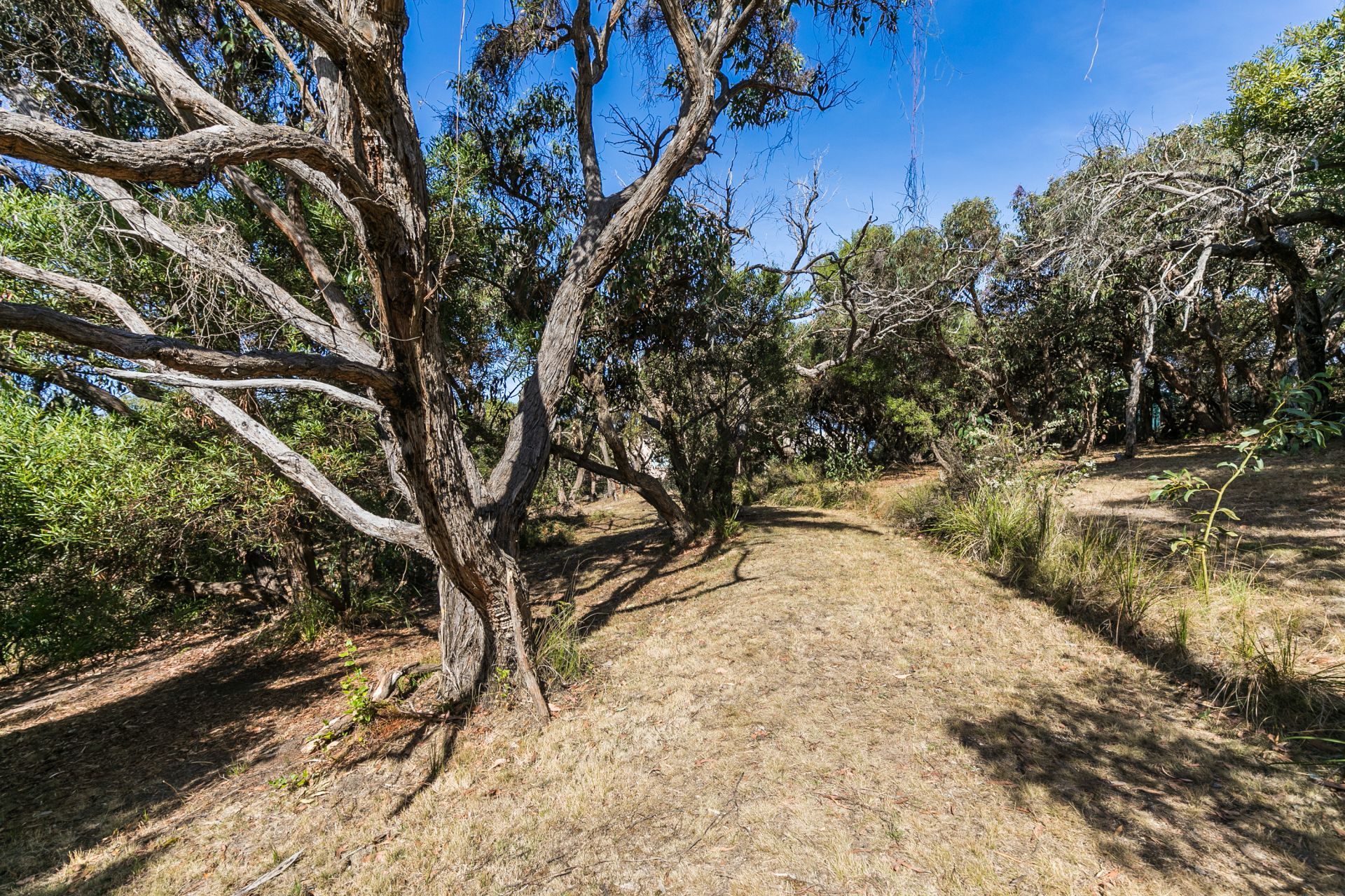23 Golf Links Road, Eastern View - Thumbnail 4