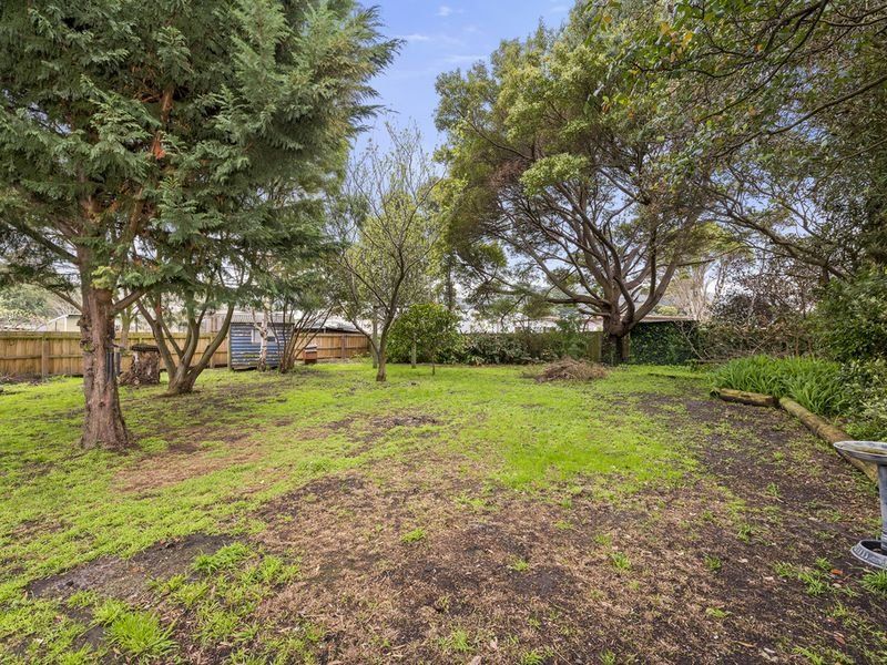 8 Barrand Street, Apollo Bay, VIC, Apollo Bay - Thumbnail 3