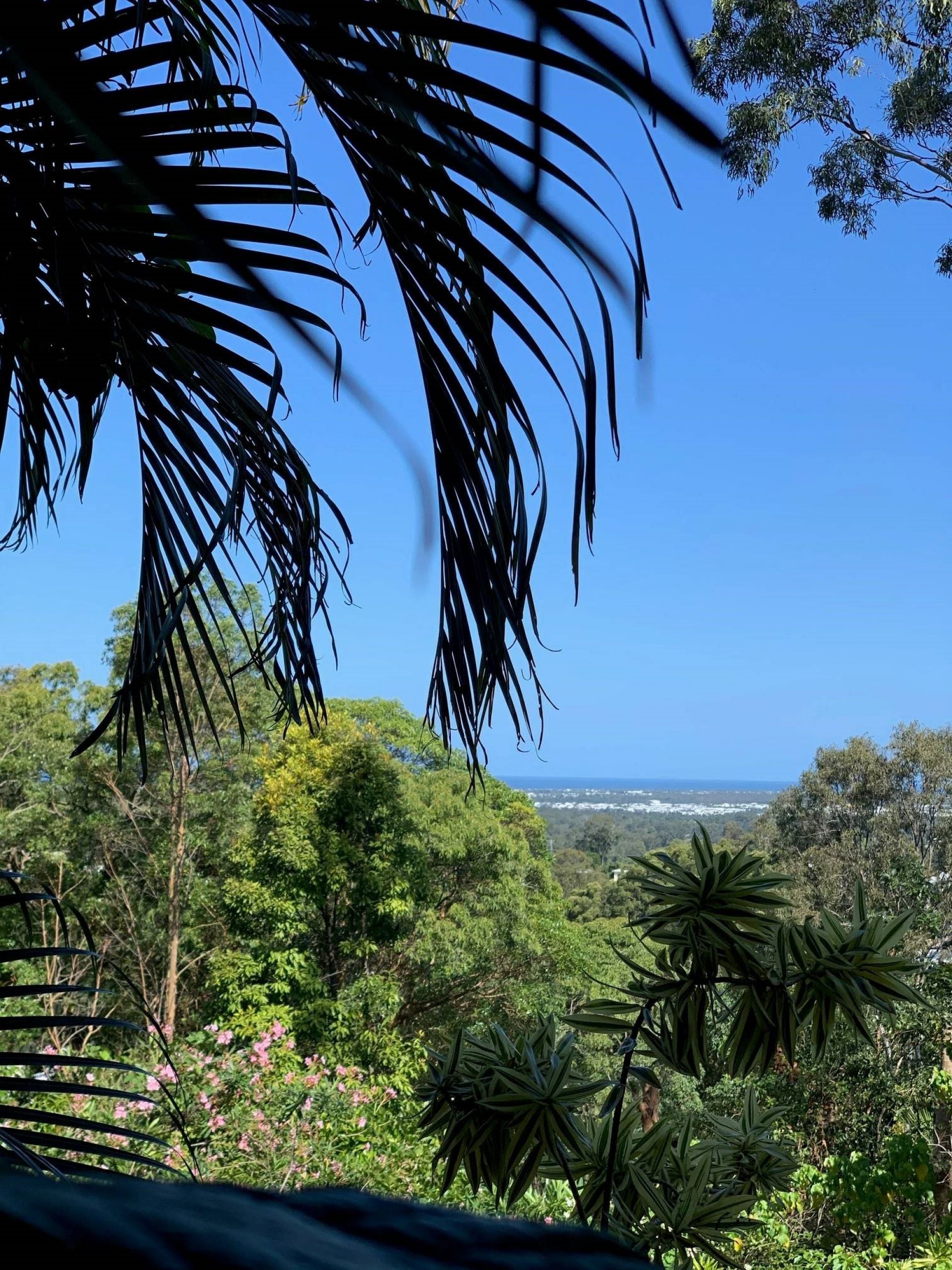 10 Griffith Lane Buderim QLD, Buderim - Thumbnail 3