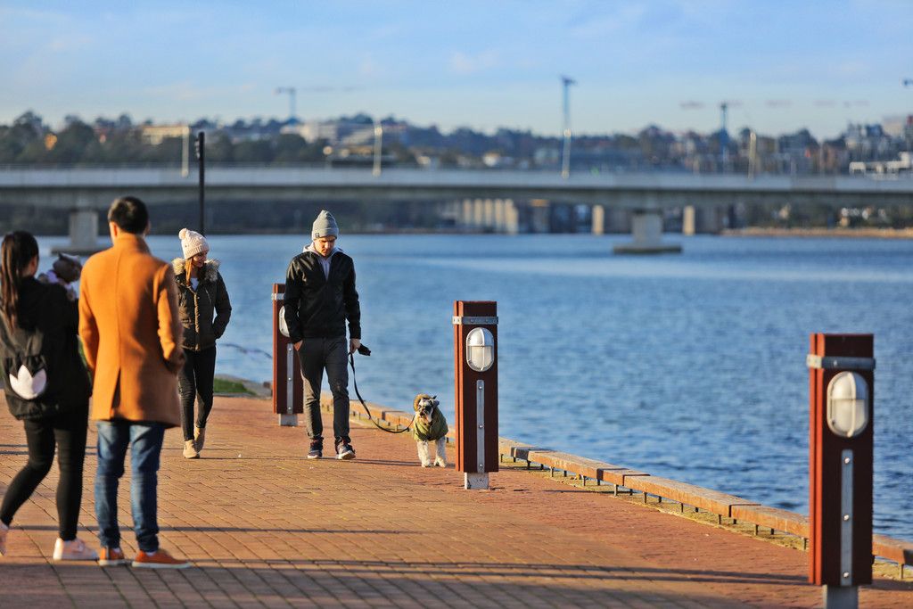 Real Estate For Sale Wentworth Point , NSW