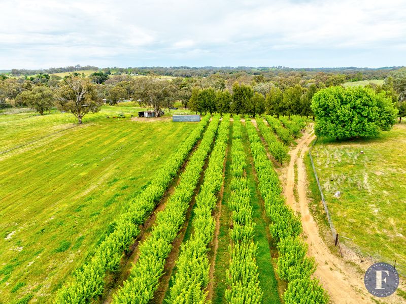 10 Ratho Road, Young | Flemings Property Services