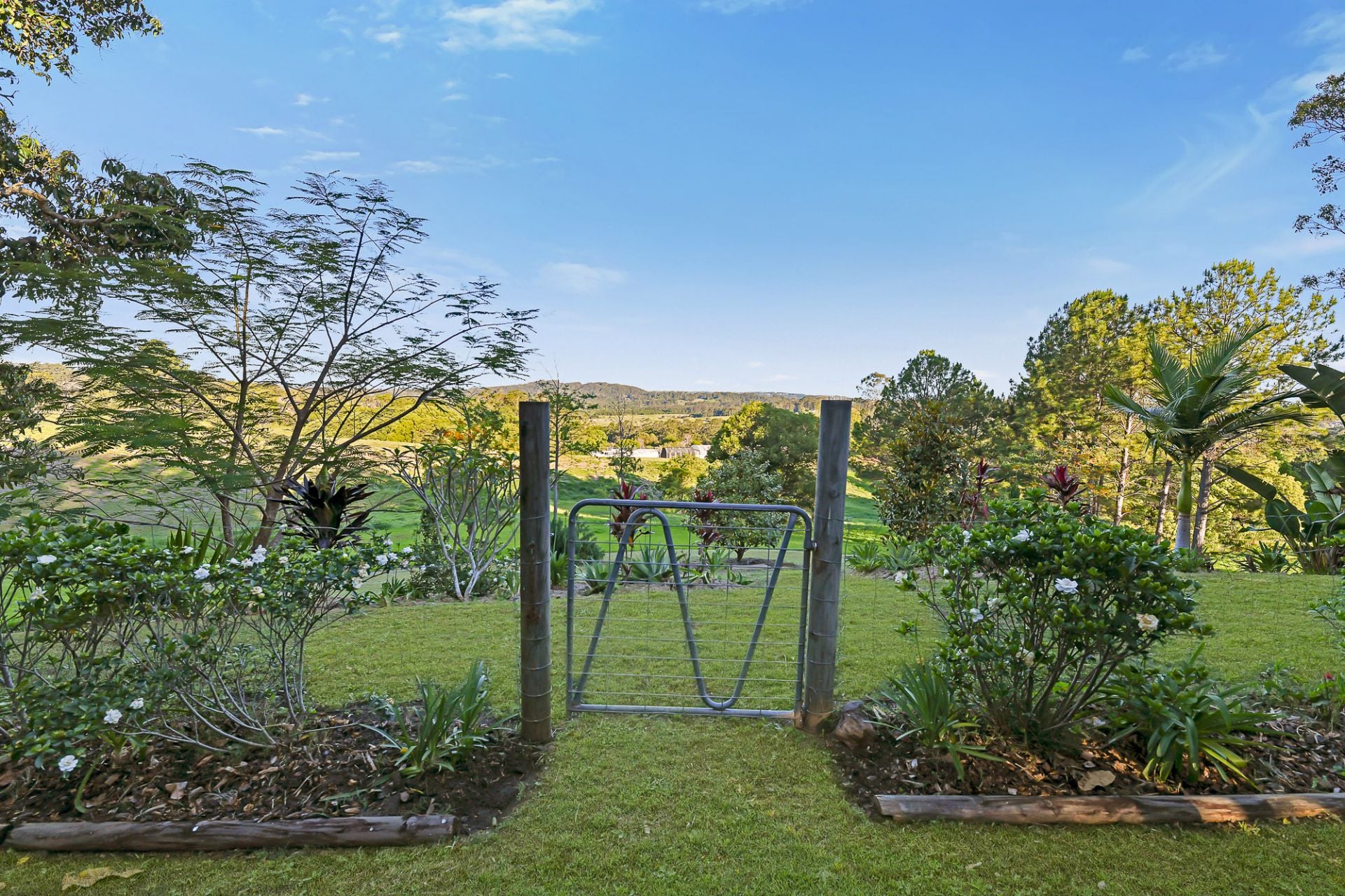 10 Buena Vista Road Woombye QLD, Woombye - Thumbnail 4