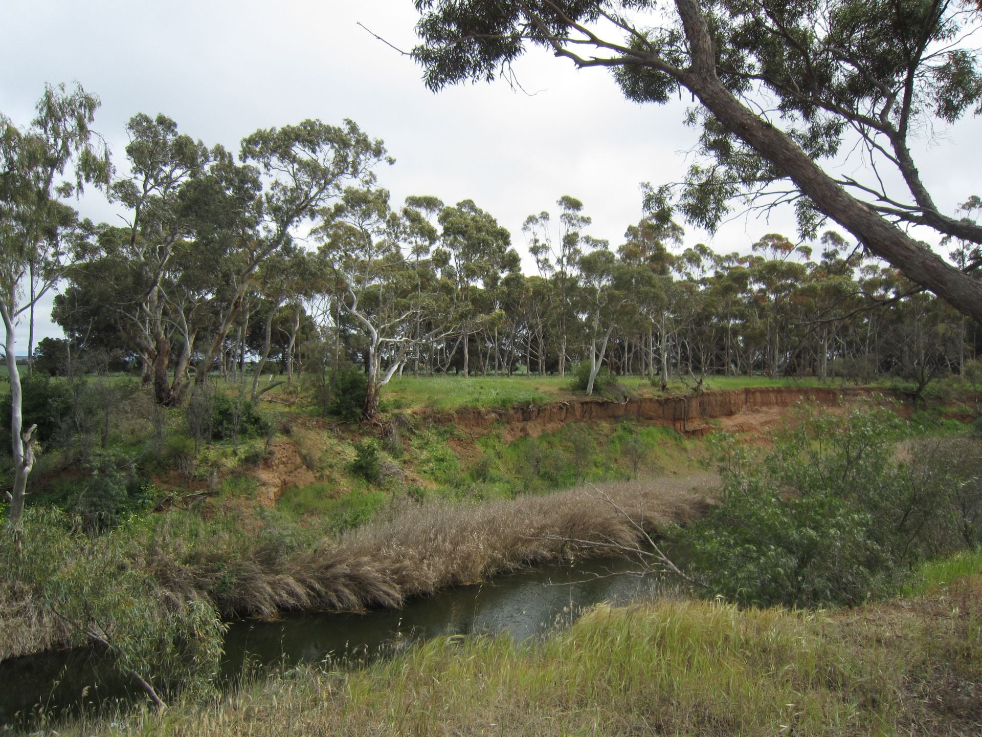 4 River Terrace Redhill SA, Redhill - Thumbnail 3