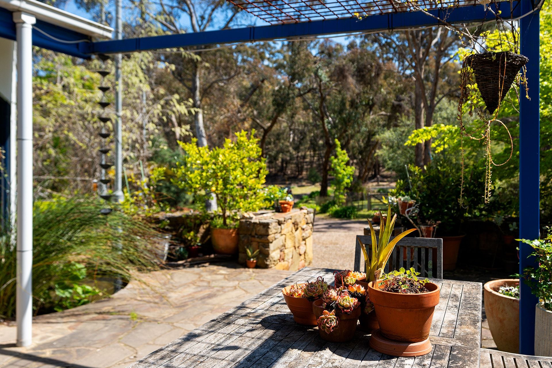 409 White Gum Track, Fryerstown - Thumbnail 5