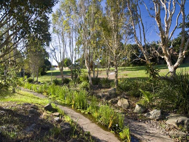 12 Micrantha Place MOUNTAIN CREEK QLD, Mountain Creek - Thumbnail 5