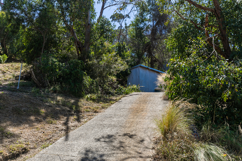 10 Olive Street, Separation Creek, VIC, Separation Creek - Thumbnail 4