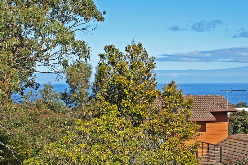 11 Second Avenue, Anglesea, VIC, Anglesea - Thumbnail 2
