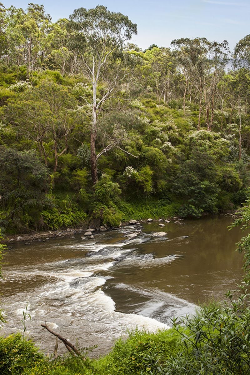 25 McCulloch Street, Warrandyte - Thumbnail 4