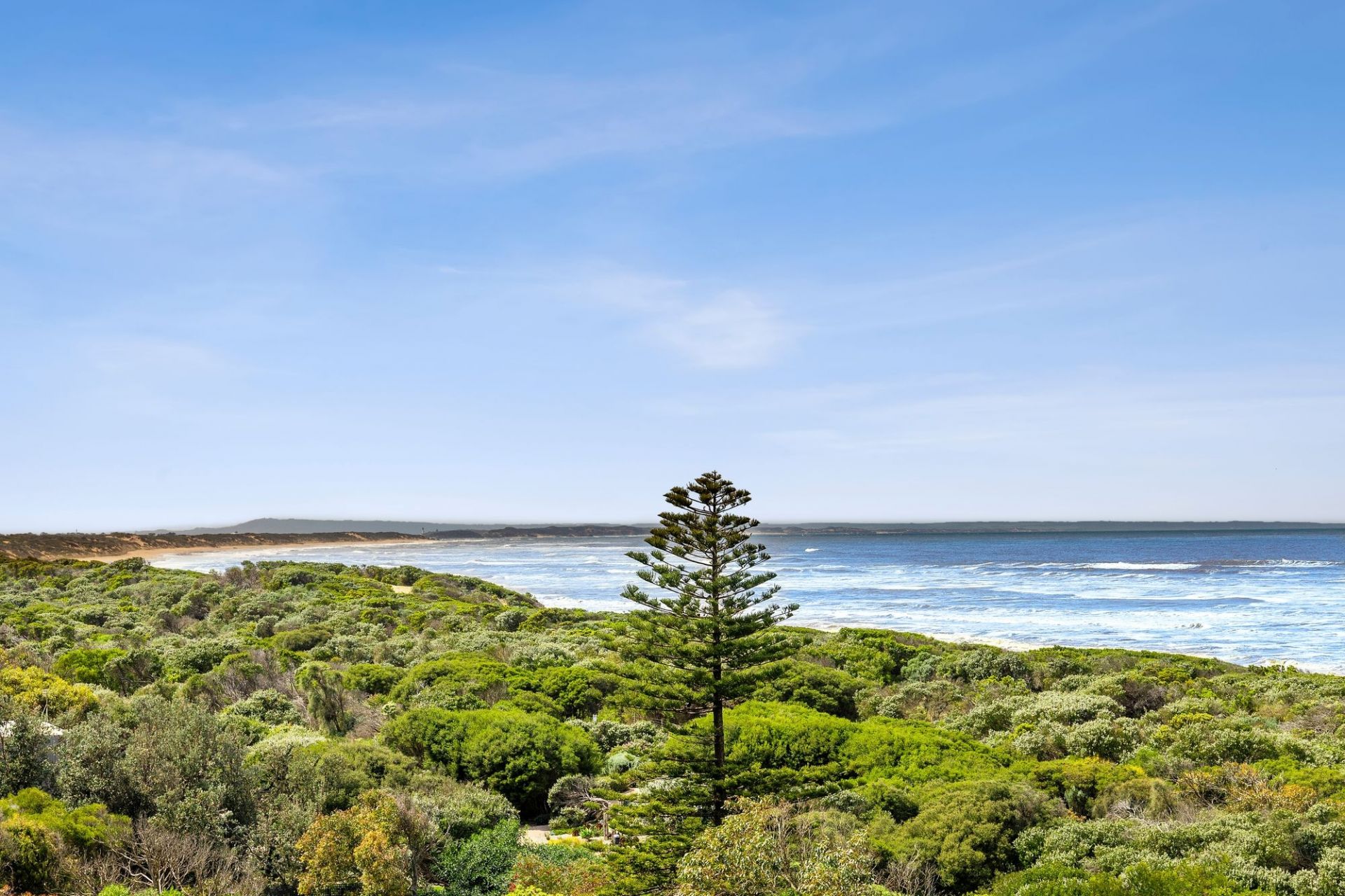 102 Orton Street Ocean Grove VIC, Ocean Grove - Thumbnail 4