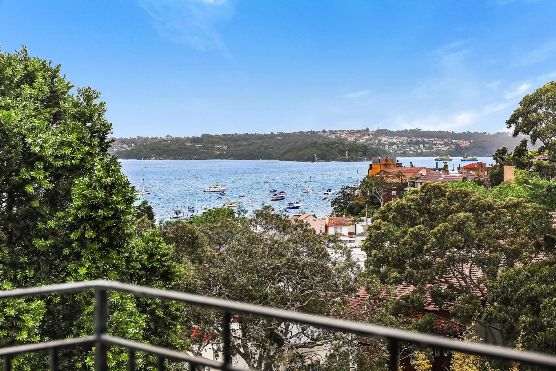 52/177 Bellevue Road, Bellevue Hill, Bellevue Hill - Thumbnail 4