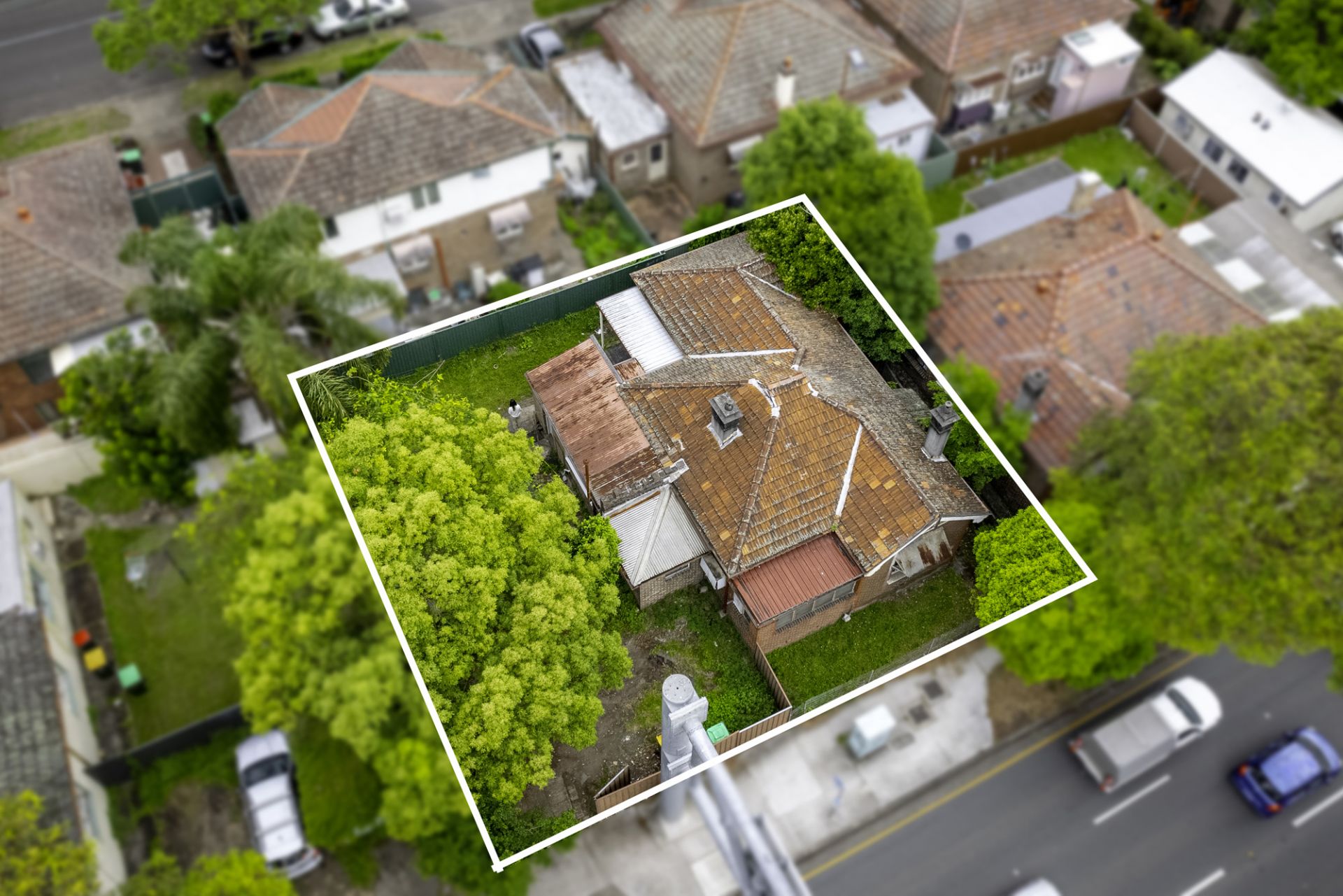13 Leicester Avenue, Strathfield, Strathfield - Thumbnail 3