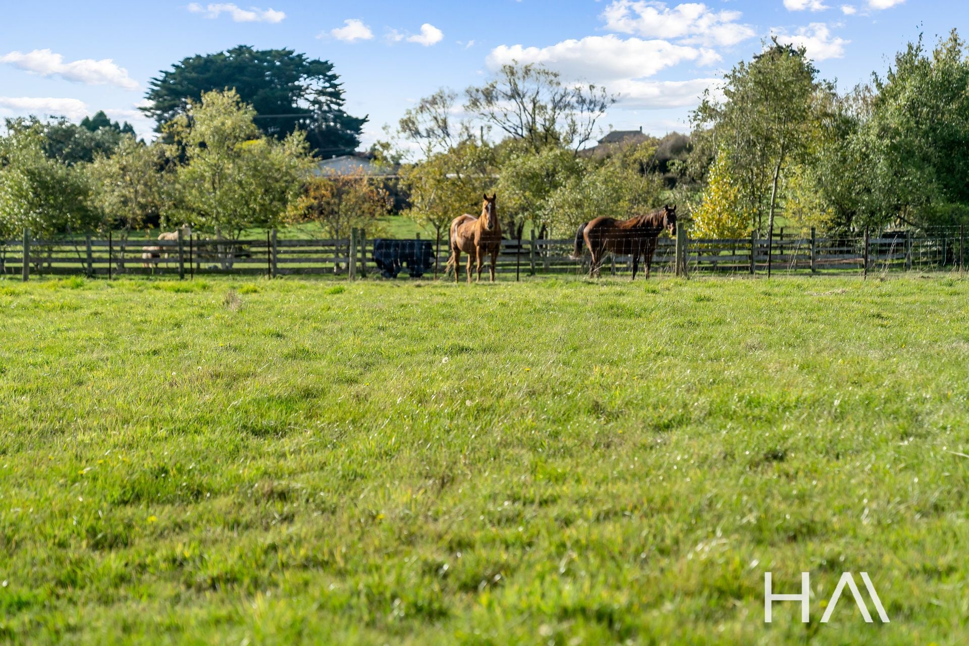 3/23 Five Acre Row Westbury, Westbury - Thumbnail 5